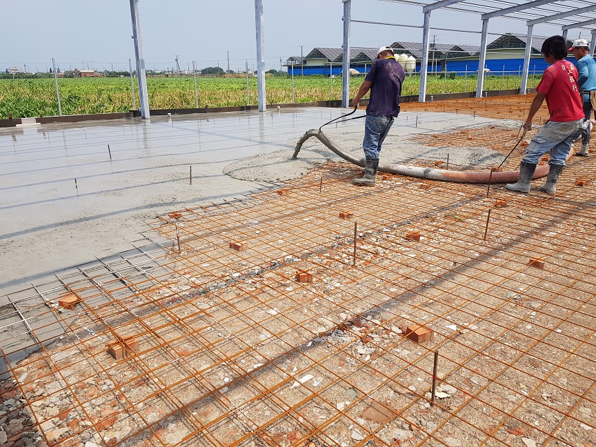 雞舍地坪灌漿